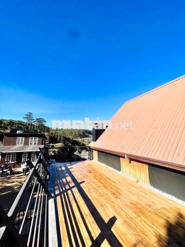 VILLA 2 PHÒNG NGỦ – BAN CÔNG VIEW ĐỒI THÔNG | TRẠI MÁT – ĐÀ LẠT