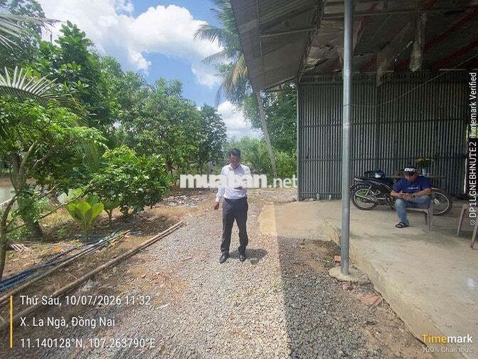 Đất nhà vườn và sinh thái Ngân hàng thanh lý giá rẻ