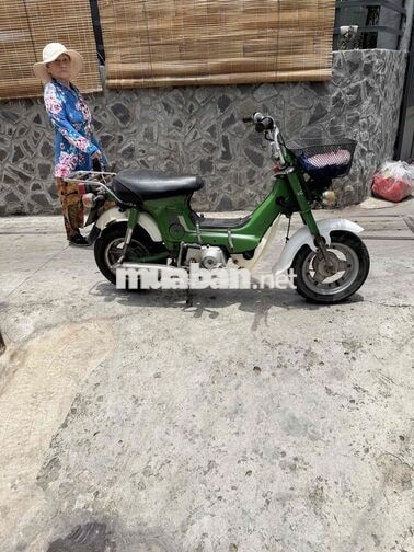 Honda Chaly 1980 50cc Xanh lá, Trắng Nhật Bản