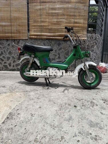 Honda Chaly 1981 50cc Xanh lá
