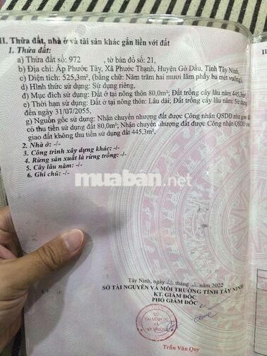 Bán đất thổ cư tại Phước Thạnh, Gò Dầu, Tây Ninh