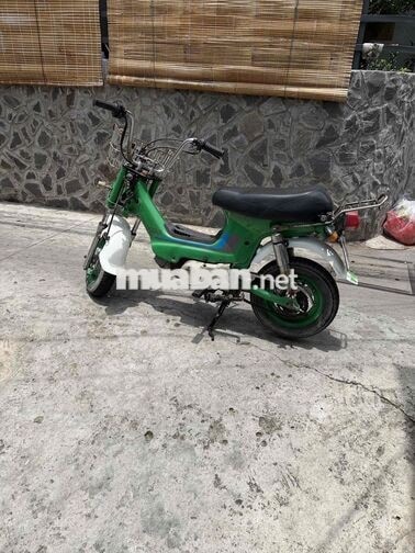 Honda Chaly 1981 50cc Xanh lá