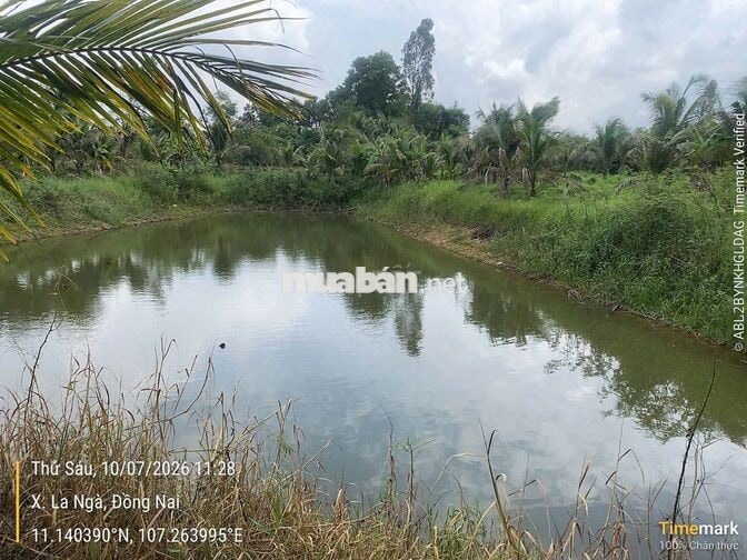Đất nhà vườn và sinh thái Ngân hàng thanh lý giá rẻ