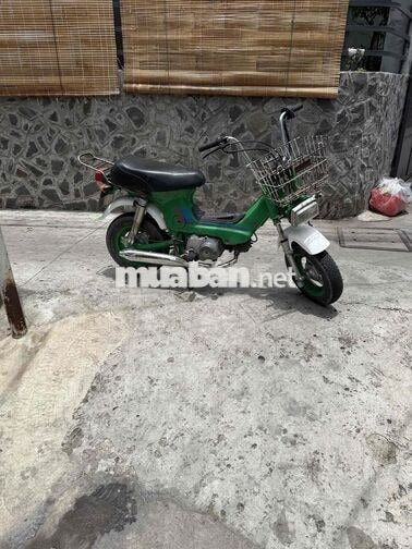 Honda Chaly 1981 50cc Xanh lá
