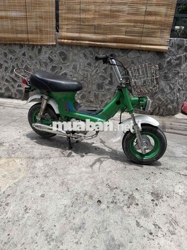 Honda Chaly 1981 50cc Xanh lá
