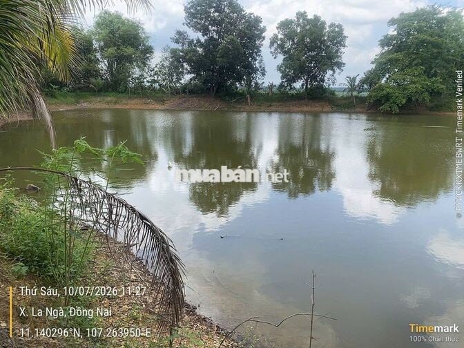 Đất nhà vườn và sinh thái Ngân hàng thanh lý giá rẻ