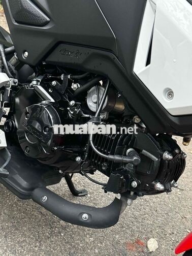 Honda MSX 125cc sx dkld 2020 siêu lướt odo 2k