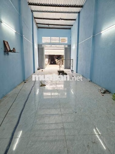 ✅️ĐƯỜNG 8M GẦN HUỲNH THIỆN LỘC-4X15M TRỐNG SUỐT MỚI SỬA ĐẸP