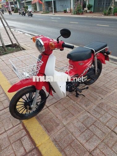 Xe máy Cúp 2019 Số Đỏ Trắng