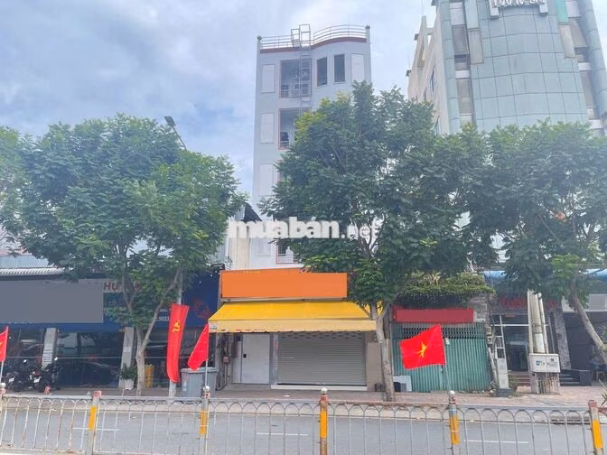 MT Lý Chiêu Hoàng Ngang Lớn 5m - Gần Bệnh Viện Sinh Sản Nam Học SG