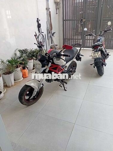 Xe mô tô mini Ducati Monster 110 Trắng đỏ