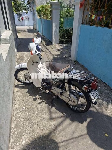Honda Cub Việt Thái 50cc Trắng Xanh