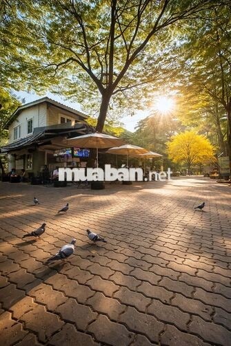 Bán nhà phố vườn Ehome4 Nam Long Bắc Sài Gòn giá ***