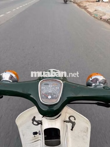 Honda Cub 50cc