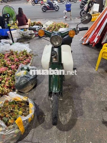 Honda Cub 50cc