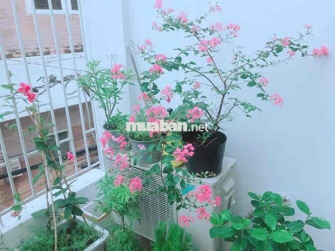 🏠 KTX NAM – CHUẨN 3 SAO | Q10 ✨ FULL NỘI THẤT – SẠCH ĐẸP – TIỆN NGHI