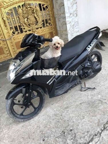 Yamaha Nouvo6 giấy tờ đầy đủ 