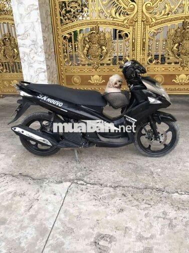 Yamaha Nouvo6 giấy tờ đầy đủ 