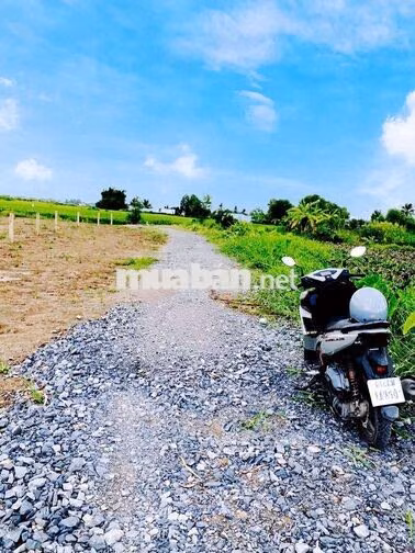 Quá ngộp, chốt nhanh 340tr sở hữu 148.6m2 đất thổ view kênh