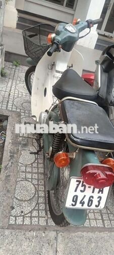 Honda Cub 50 Xanh Trắng
