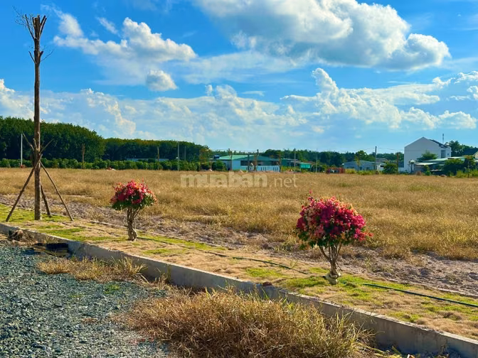 🏡 TÌM ĐẤT XÂY NHÀ Ở CHƠN THÀNH – ANH CHỊ THAM KHẢO NỀN NÀY