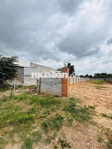 Bán gấp lô đất 340m2 full thổ. tại TÂN THÔNG HỘI ,CU CHI. giá 820tr