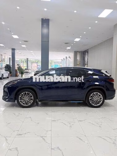 Lexus RX300 2021 Xanh Cavansite Nâu da bò