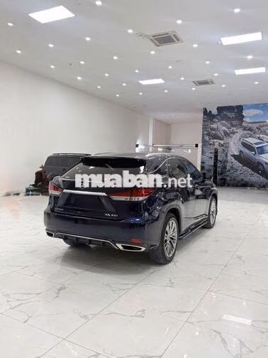 Lexus RX300 2021 Xanh Cavansite Nâu da bò