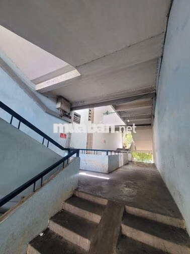 Căn hộ chung cư chợ hoa lạc long quân p5 q11