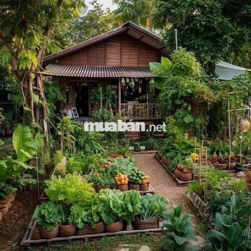 🔥 CHỈ VỚI 1.3 TỶ NHẬN NGAY 1.300M² ĐẤT VƯỜN Ở TRUNG TÂM GIA KIỆM