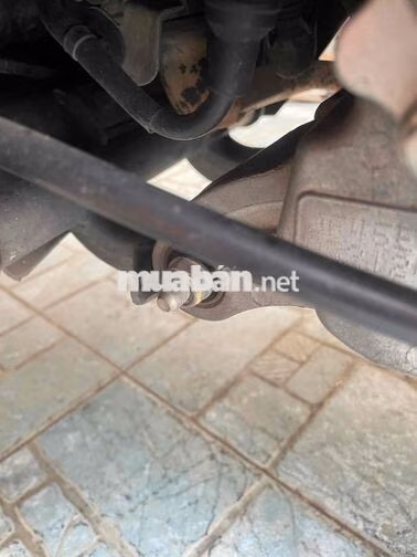 Honda Lead 2015 Trắng ngà