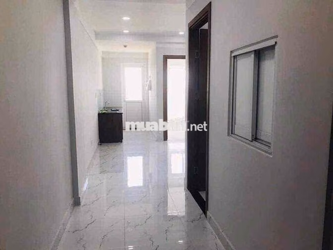 Tổng hợp cho thuê chung cư Phúc Đạt, Phú Lợi, TD1,  1-2PN giá từ 4-6,