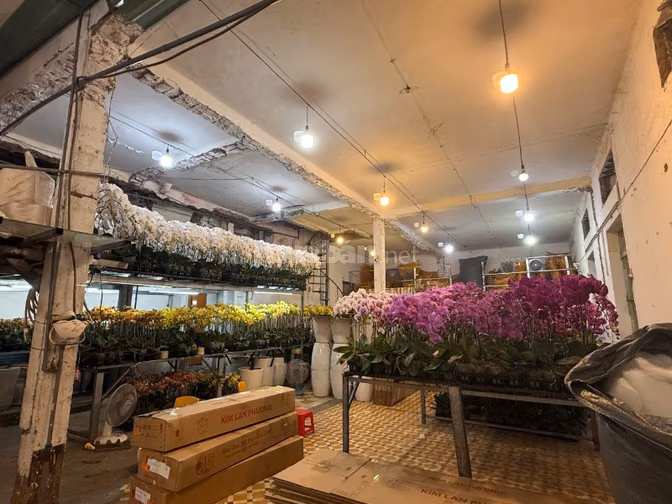 90 Triệu! Cho thuê Mặt Bằng Ngang TO 10x27m Lê Hồng Phong Quận 