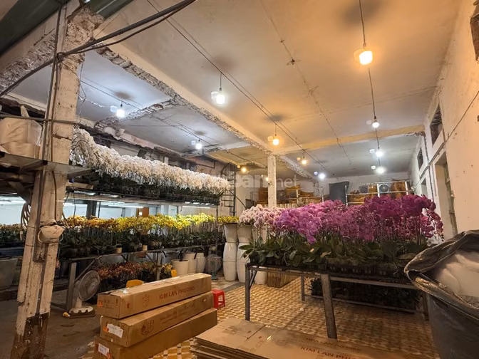 90 Triệu! Cho thuê Mặt Bằng Ngang TO 10x27m Lê Hồng Phong Quận 