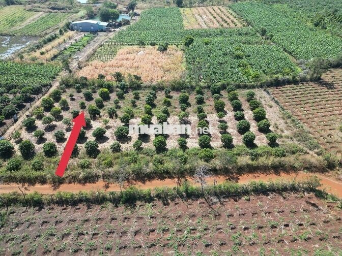 Cần bán lô đất 2100m2 đã có 400 thổ cư
