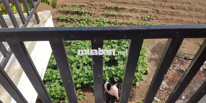Nhà mới, cho thuê nguyên căn - Khu dân cư Phát Hải