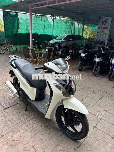 Honda SH Việt 150 2013 Trắng đen