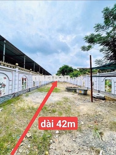 ĐẤT NGỘP GẦN CHỢ VIỆT KIỀU 9 X42 FULL THỔ SỔ RIÊNG 789 TRIỆU CÒN BỚT