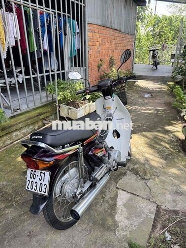 Honda Super Dream giao lưu hoặc bán