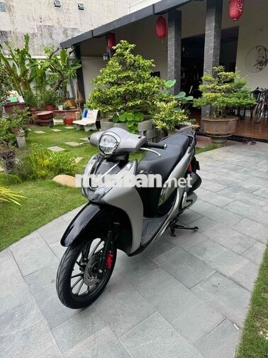 SH Mode ABS 2020 Bản đặc biệt Xám đen