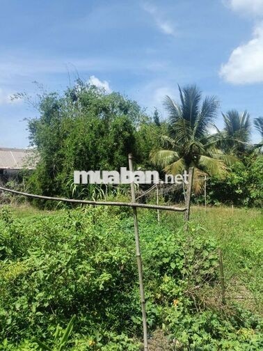 Chỉ 15,5 tỉ Sỡ Hữu Ngay Lô Đất 70x31= 2672m 