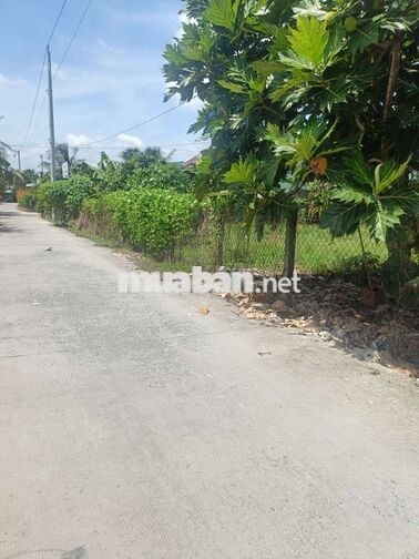 Chỉ 15,5 tỉ Sỡ Hữu Ngay Lô Đất 70x31= 2672m 