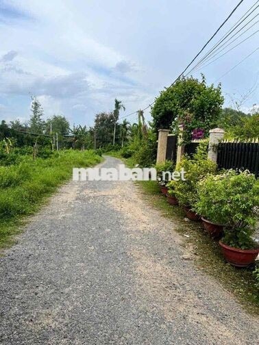 Đất Thổ Cư 5x20m Đường Nhựa KP Xóm Mới Phường Gò Dầu giá chỉ 449tr