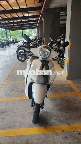 Yamaha Janus 2024 Trắng 