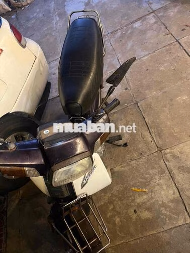 Honda Dream Trắng Xe số