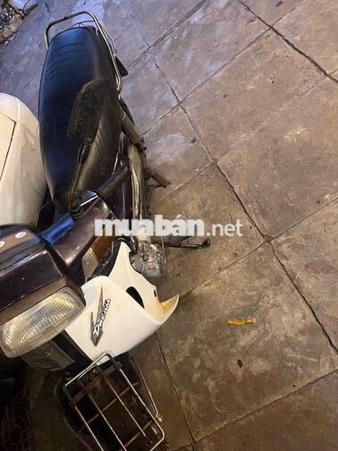 Honda Dream Trắng Xe số