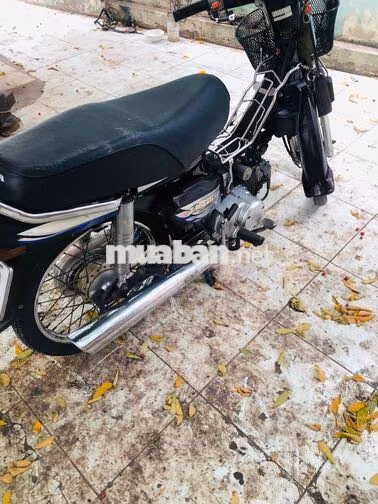 Honda Dream Thái đã lên máy anpha