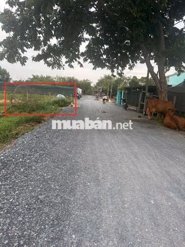 cần tiến bán gấp lô đất  như troing hình
