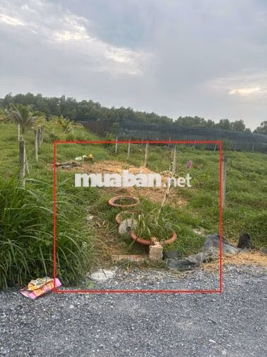 cần tiến bán gấp lô đất  như troing hình