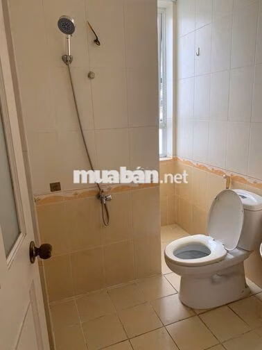 Cần cho thuê căn hộ chung cư Sinh Lợi Silland Tower 